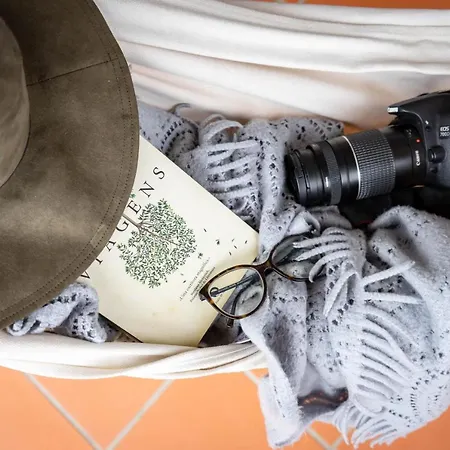 Aldeias Do Zezere-patio Dos Caseiros بيت للعطل Aldeia do Mato (Santarem)