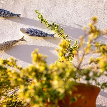 Aldeias Do Zezere-patio Dos Caseiros Σπίτι διακοπών